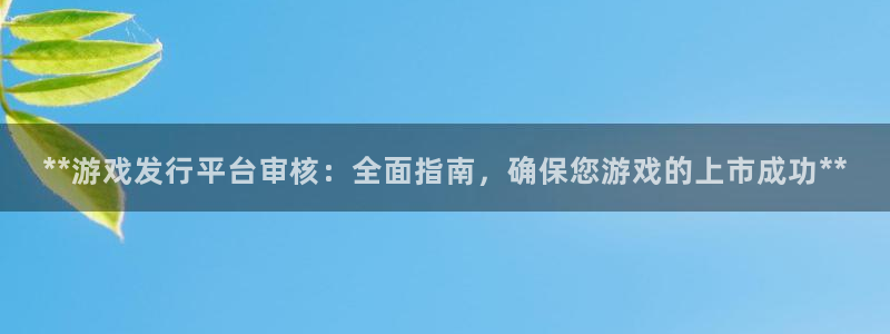 新宝gg注册：**游戏发行平台审核：全面指南，确保您游戏的上市成功**